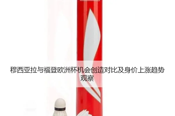 穆西亚拉与福登欧洲杯机会创造对比及身价上涨趋势观察